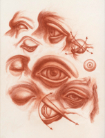 Anatomical Study, Features, Eyes